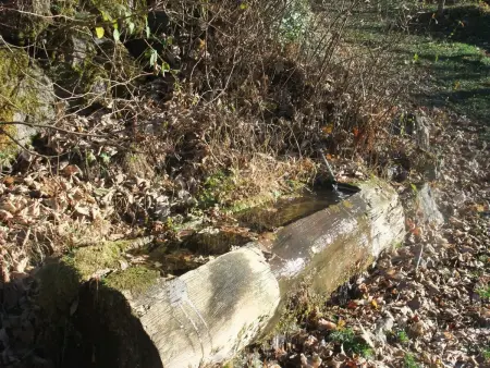 Gîte Les Landres, maison isolée en forêt à Servance-Miellin : photo 17
