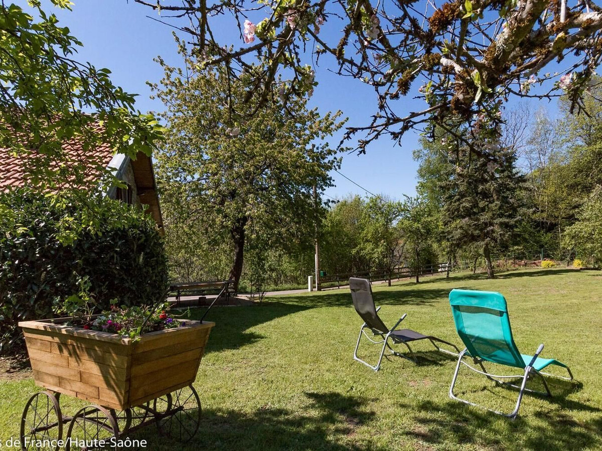 Gîte Chez Tintin, maison en pierre aux Vosges - Photo 19