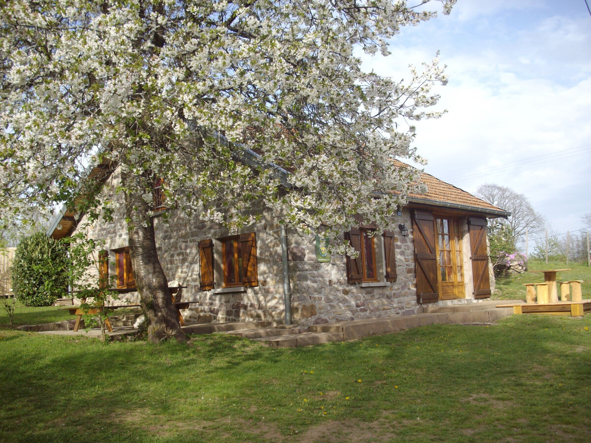 Gîte Chez Tintin, maison en pierre aux Vosges - Photo 29