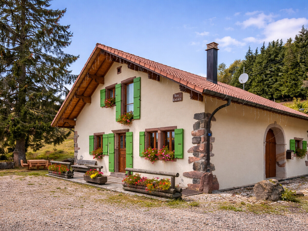 Gîte 9 pers. Belfahy : cheminée, vue Vosges - Photo 1