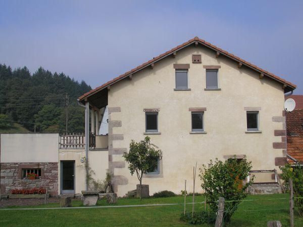 Gîte 6 pers. aux Vosges, terrasse 36 m² et WiFi - Photo 22