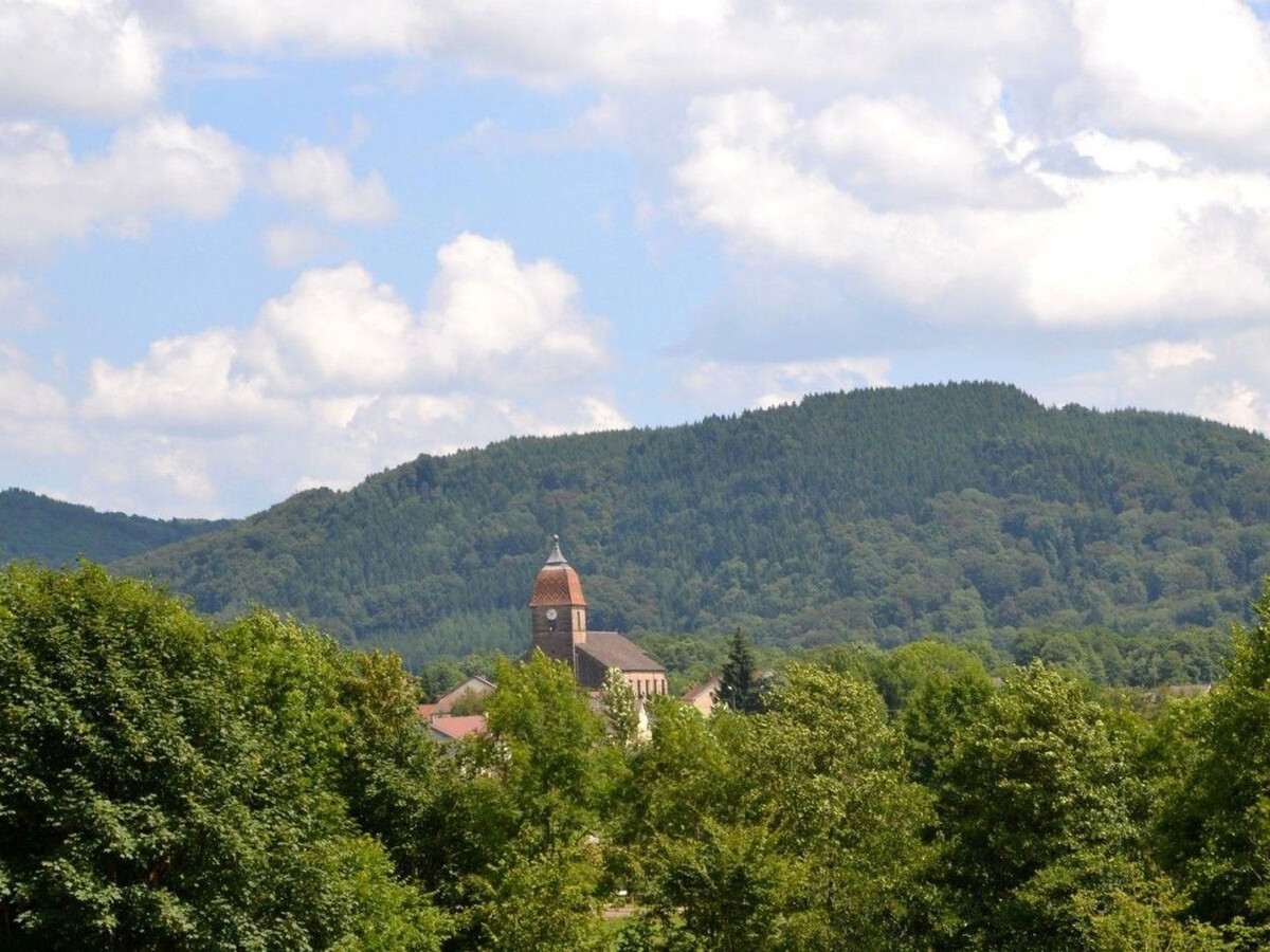 Gîte 6 pers. aux Vosges, terrasse 36 m² et WiFi - Photo 26