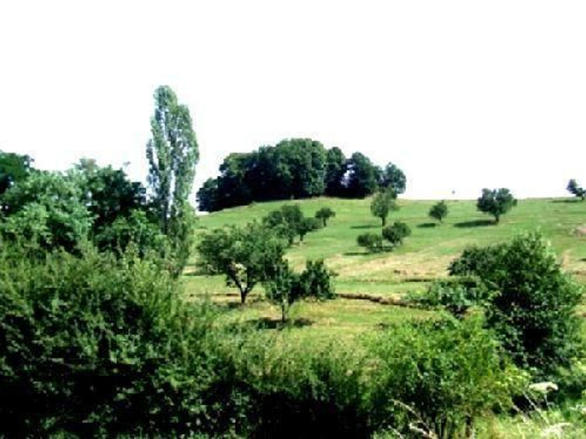 Gîte des Counottes à Esprels, 5 pers., nature et randos - Photo 34