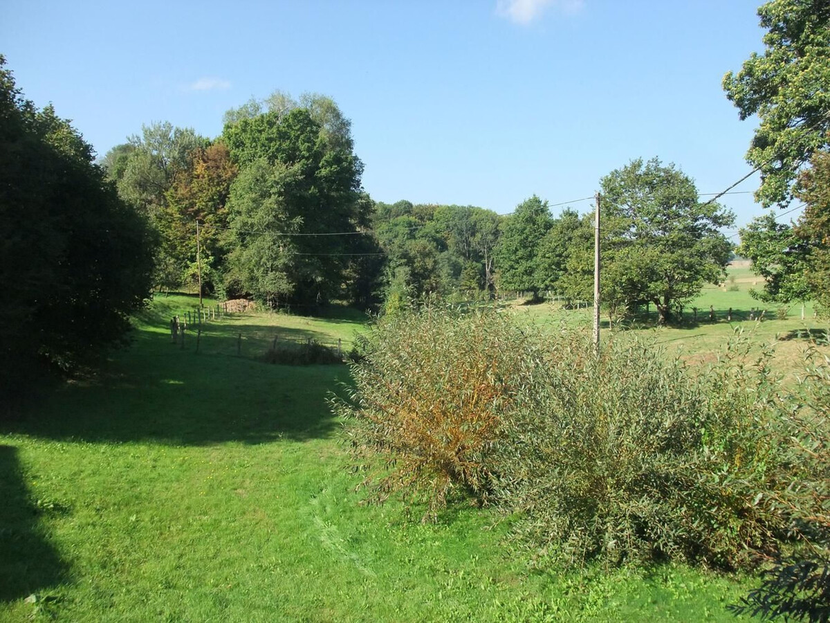 Gîte indépendant en hameau typique Fougerolles - Photo 19