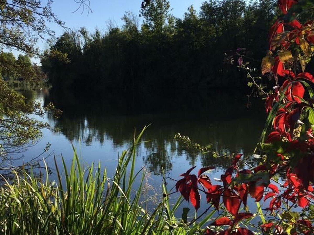 Gîte 6 pers. avec vue Saône et accès berges - Photo 27