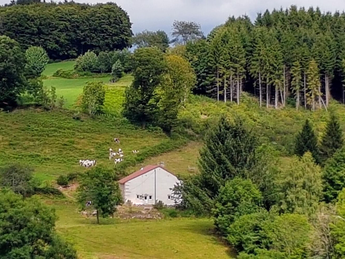 Gîte Chez Didion, ancienne ferme rénovée 6 pers. Saint-Bresson - Photo 34