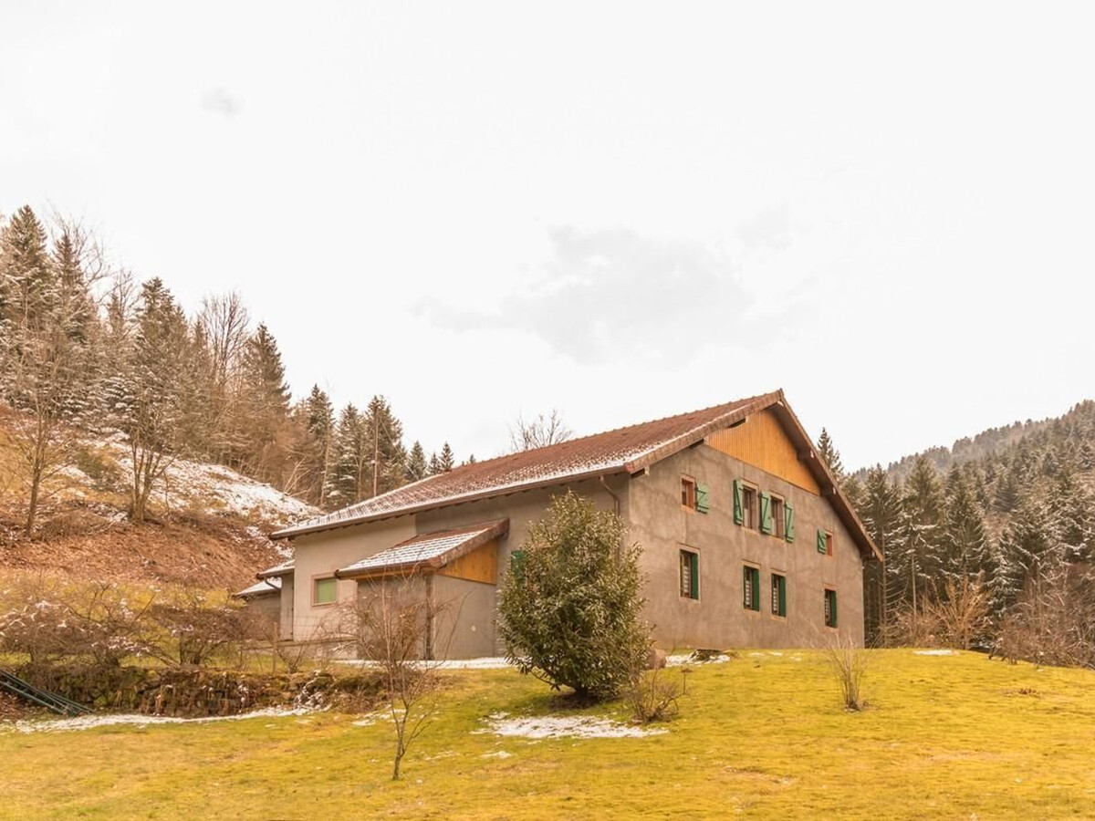 Gîte 9 pers. aux Vosges : nature, forêt et poêle alsacien - Photo 5