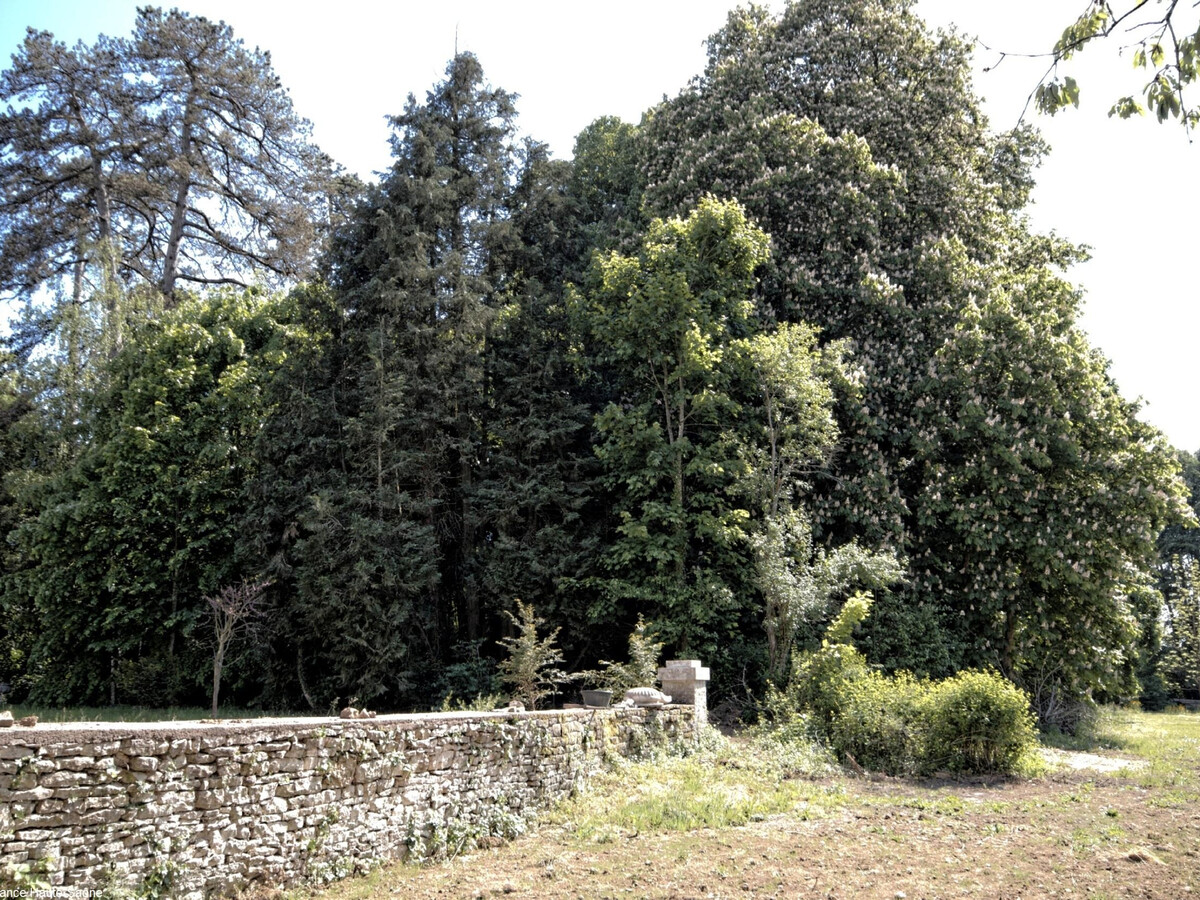 Gîte rénové 4 pers. au parc du Château de Montagney - Photo 30
