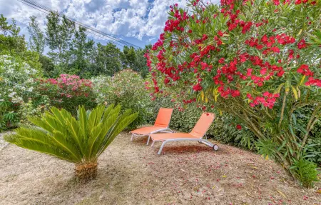 Maison 6 personnes avec terrasse et 5 vélos à Saint-Georges-d'Oléron : photo 9