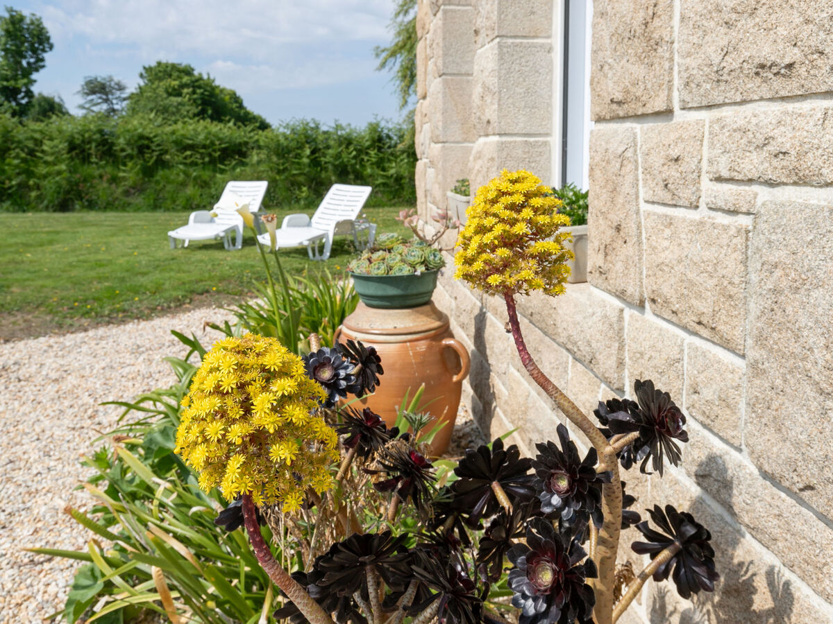 Ti Breizh – Maison 6 personnes, jardin 1800 m² - Photo 29