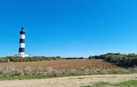 Charmante Maison Proche Plage, Maison 6 personnes à Vaux sur Mer - Photo 20