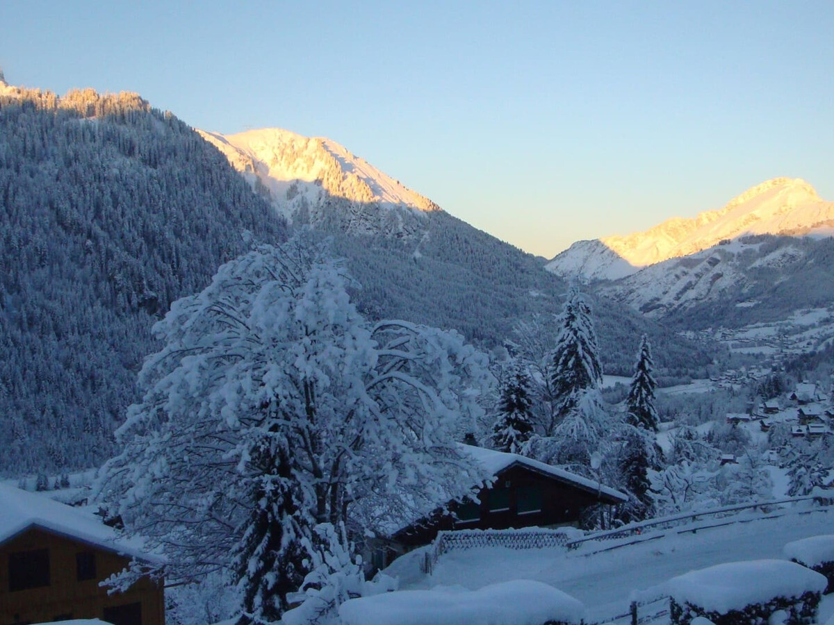 Chalet La Puce, 4 chambres, 84 m², 500 m télécabine - Photo 18