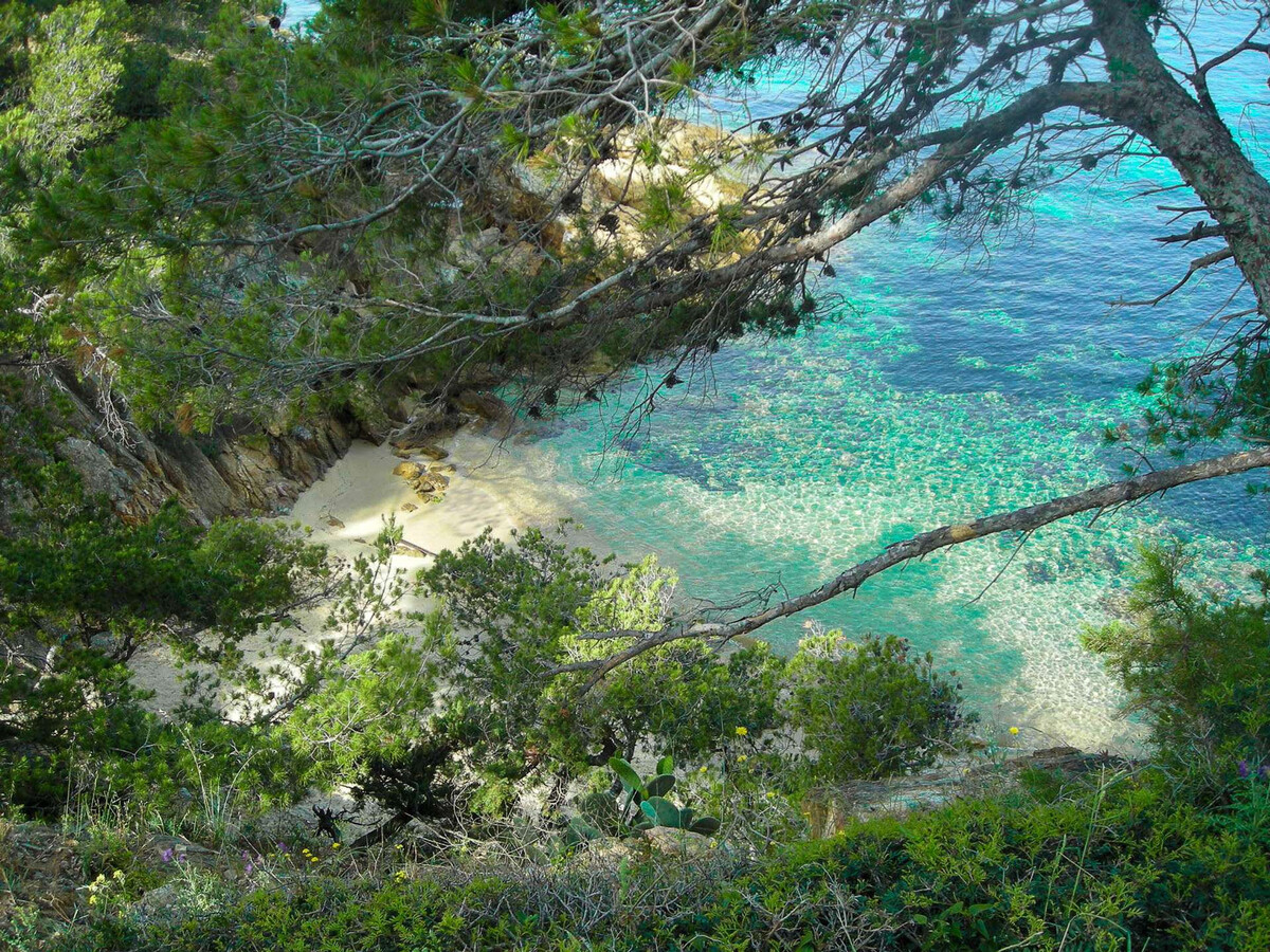 T3 au Lavandou : terrasse face à la mer, 5 pers. - Photo 14