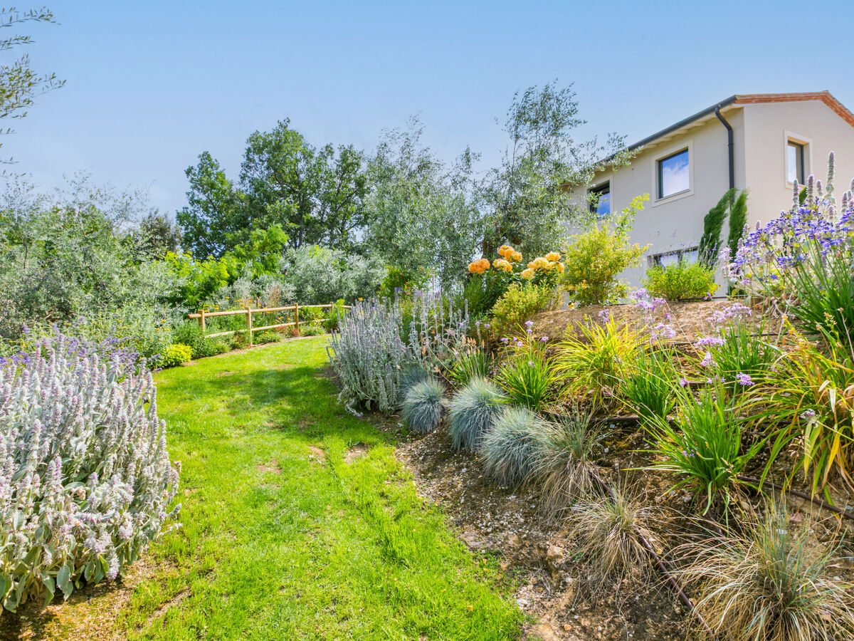 Villa Montisi – 6 pers, piscine privée à Montalcino - Photo 2