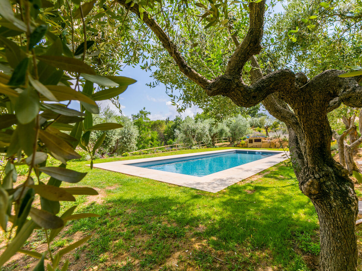 Villa Montisi – 6 pers, piscine privée à Montalcino - Photo 50