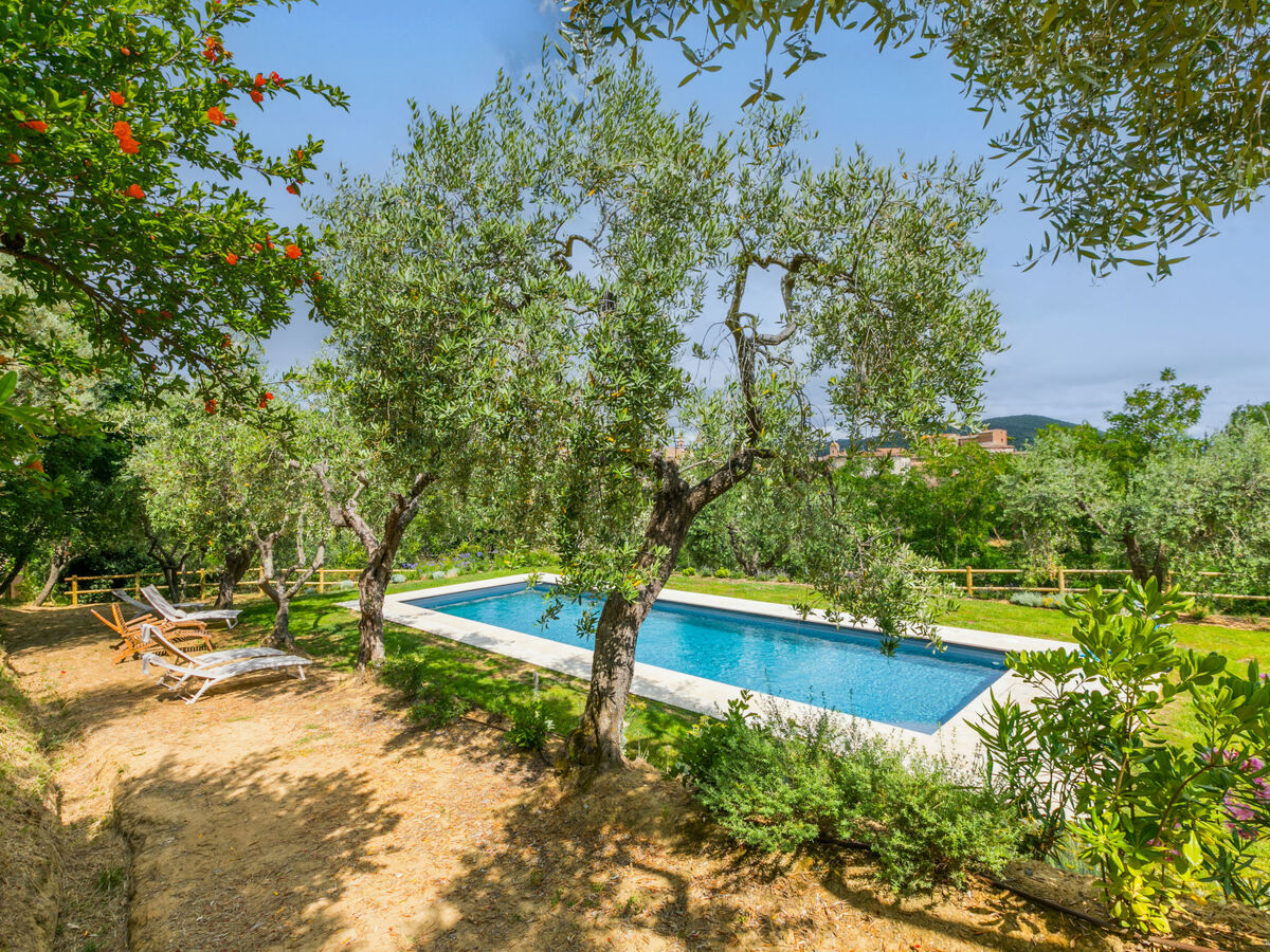 Villa Montisi – 6 pers, piscine privée à Montalcino - Photo 60