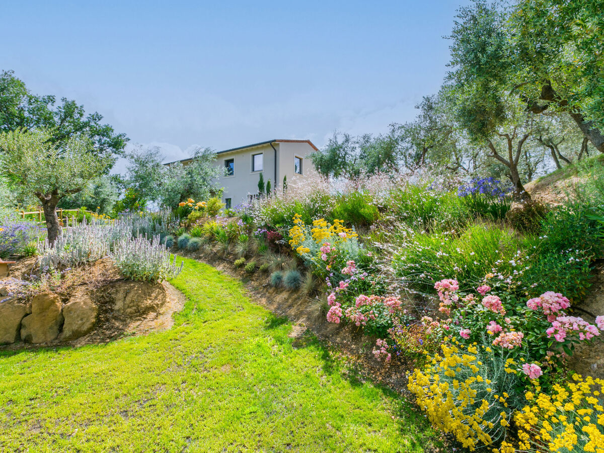 Villa Montisi – 6 pers, piscine privée à Montalcino - Photo 64
