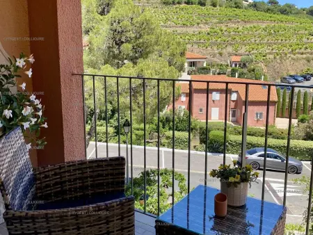 Villa charmante à Collioure avec terrasse et climatisation - Photo 3