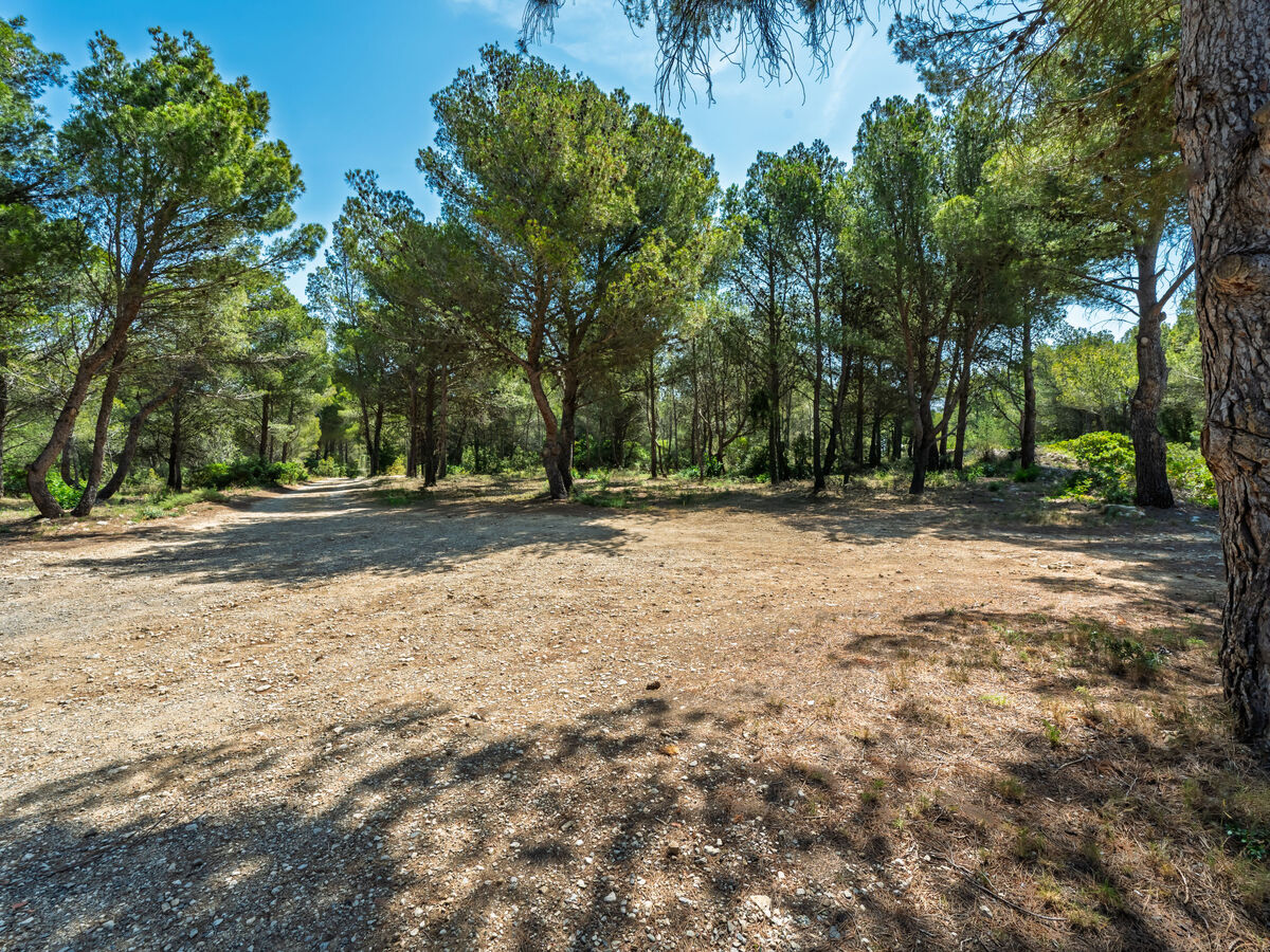 Mas de Caussagues – Maison 6 pers. à Sigean - Photo 20