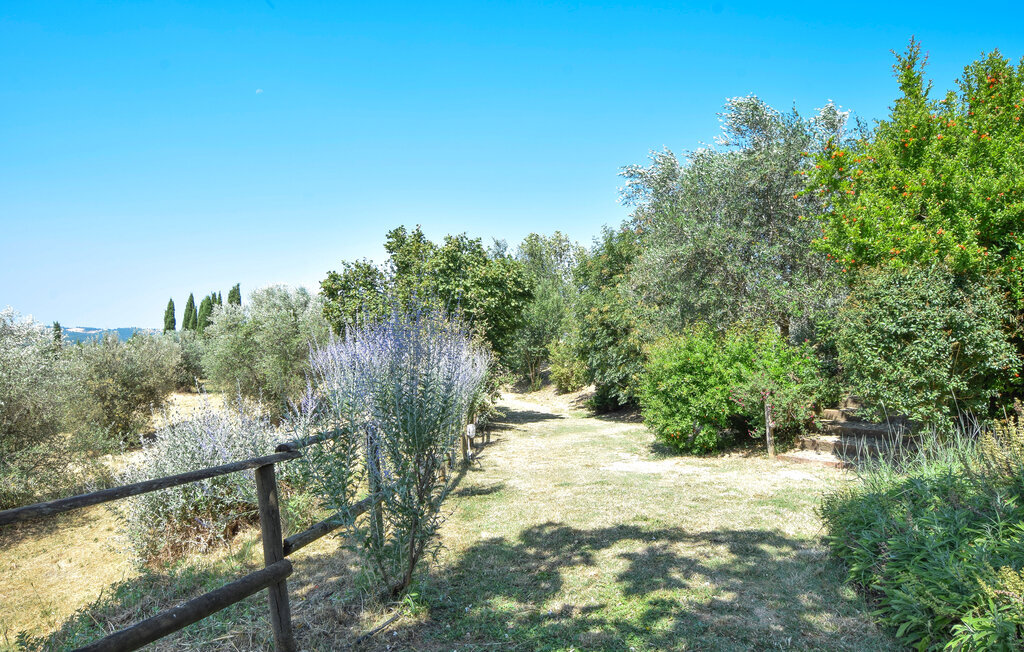 Appartement 2 personnes à San Vito in Monte - Photo 28