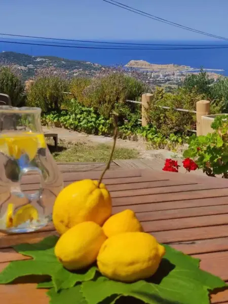 Appartement avec vue sur le port, terrasse et parking à Santa-Reparata-di-Balagna : photo 7