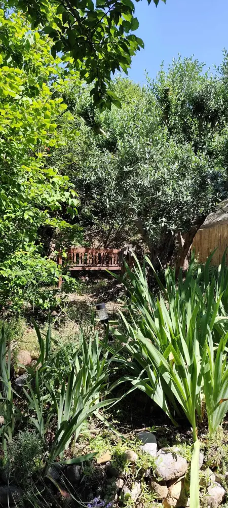 Maison avec jardin clos et hamac à Bras-d'Asse, 4 personnes : photo 19