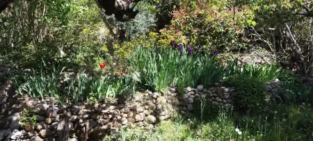 Maison avec jardin clos et hamac à Bras-d'Asse, 4 personnes : photo 22
