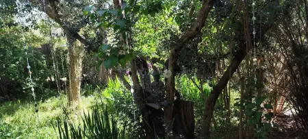 Maison avec jardin clos et hamac à Bras-d'Asse, 4 personnes : photo 23