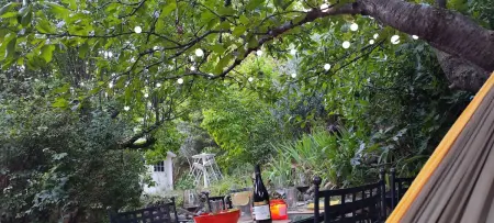 Maison avec jardin clos et hamac à Bras-d'Asse, 4 personnes : photo 25