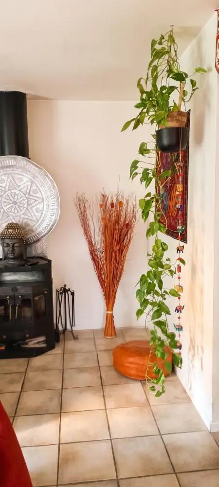 Maison avec jardin clos et hamac à Bras-d'Asse, 4 personnes : photo 32