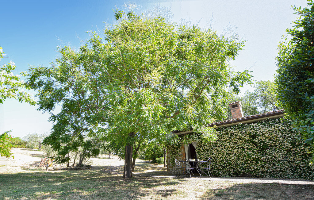 Maison 4 personnes à San Vito in Monte - Photo 20