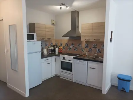 Appartement Le Croisic, 30 m du port, animaux admis : photo 9