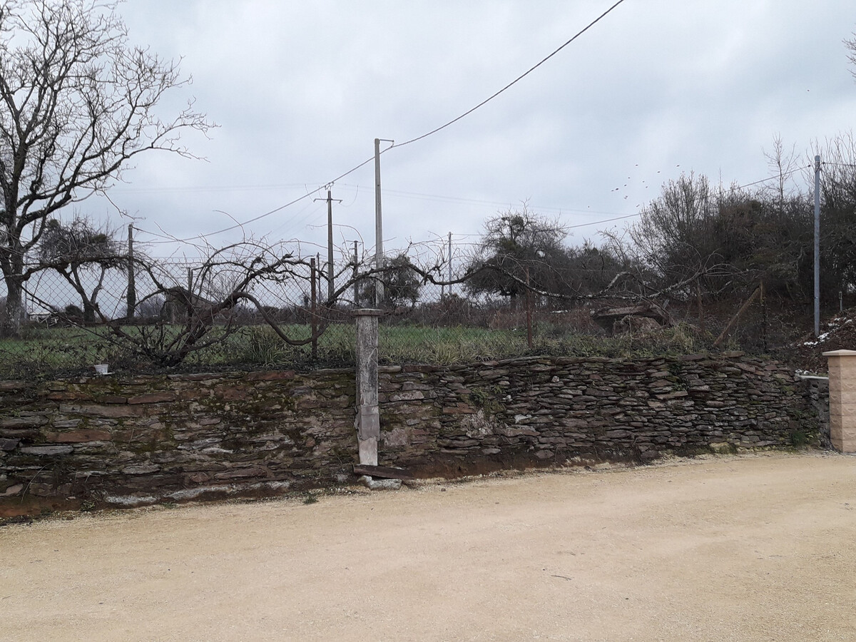 Gîte 10 pers. avec jardin clos et terrain de pétanque - Photo 29