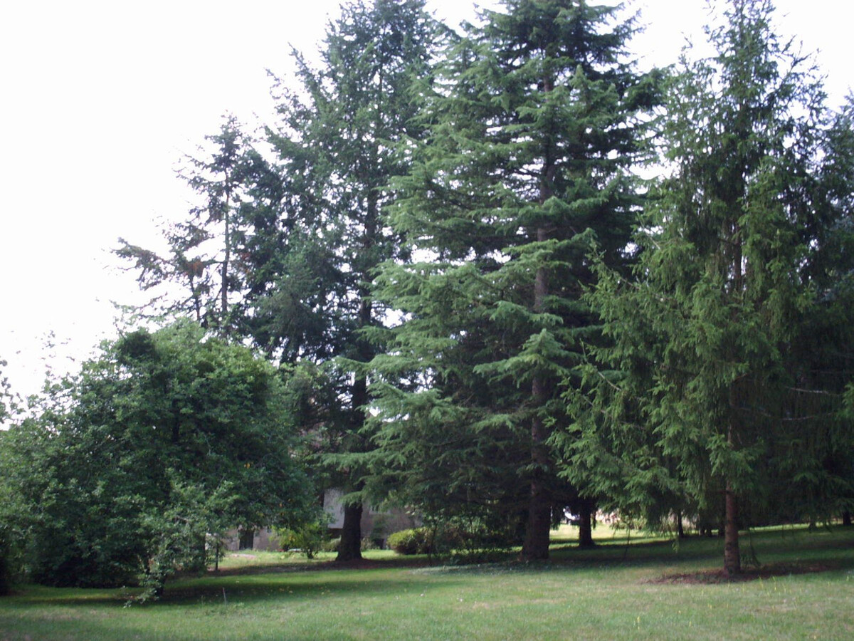 Gîte rénové en Berry, 4 pers., parc de 4 000m² - Photo 8