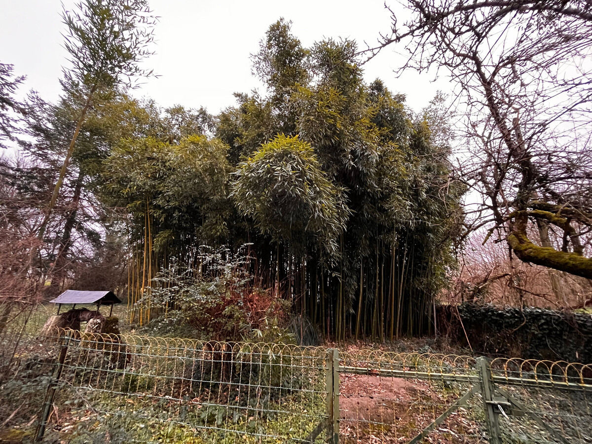 Gîte rénové en Berry, 4 pers., parc de 4 000m² - Photo 20
