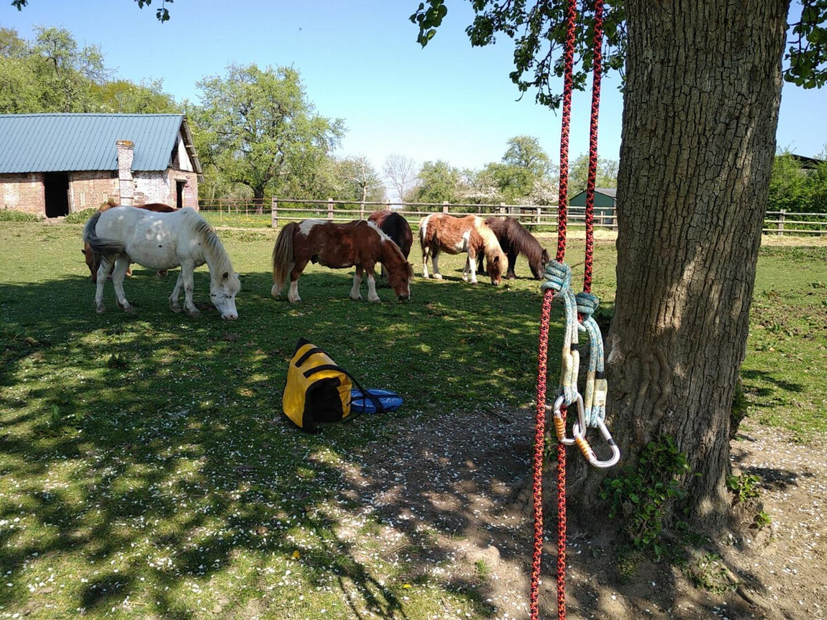 Gîte 15 pers. Les Champeaux : nature, tir à l'arc, chevaux - Photo 25