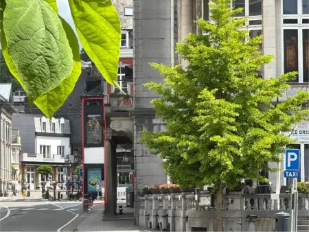 Le Cent Quarante : maison étroite et originale au cœur de Spa : photo 33