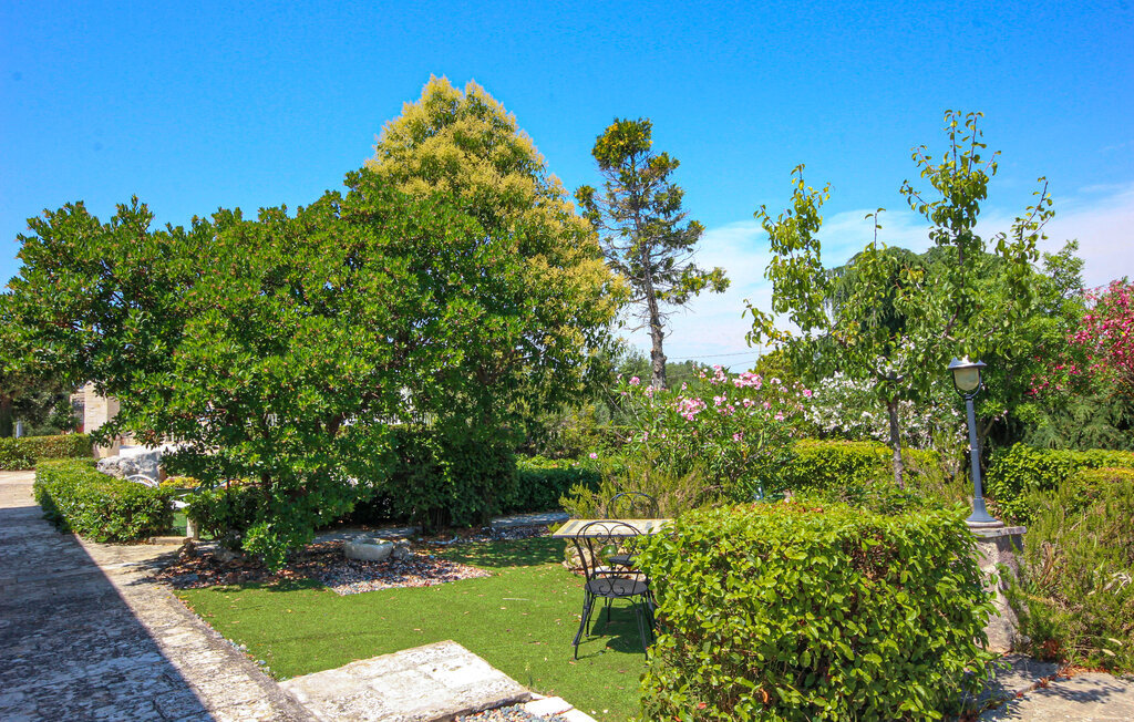 Masseria Carperi, Maison 10 personnes à Cisternino - Photo 25