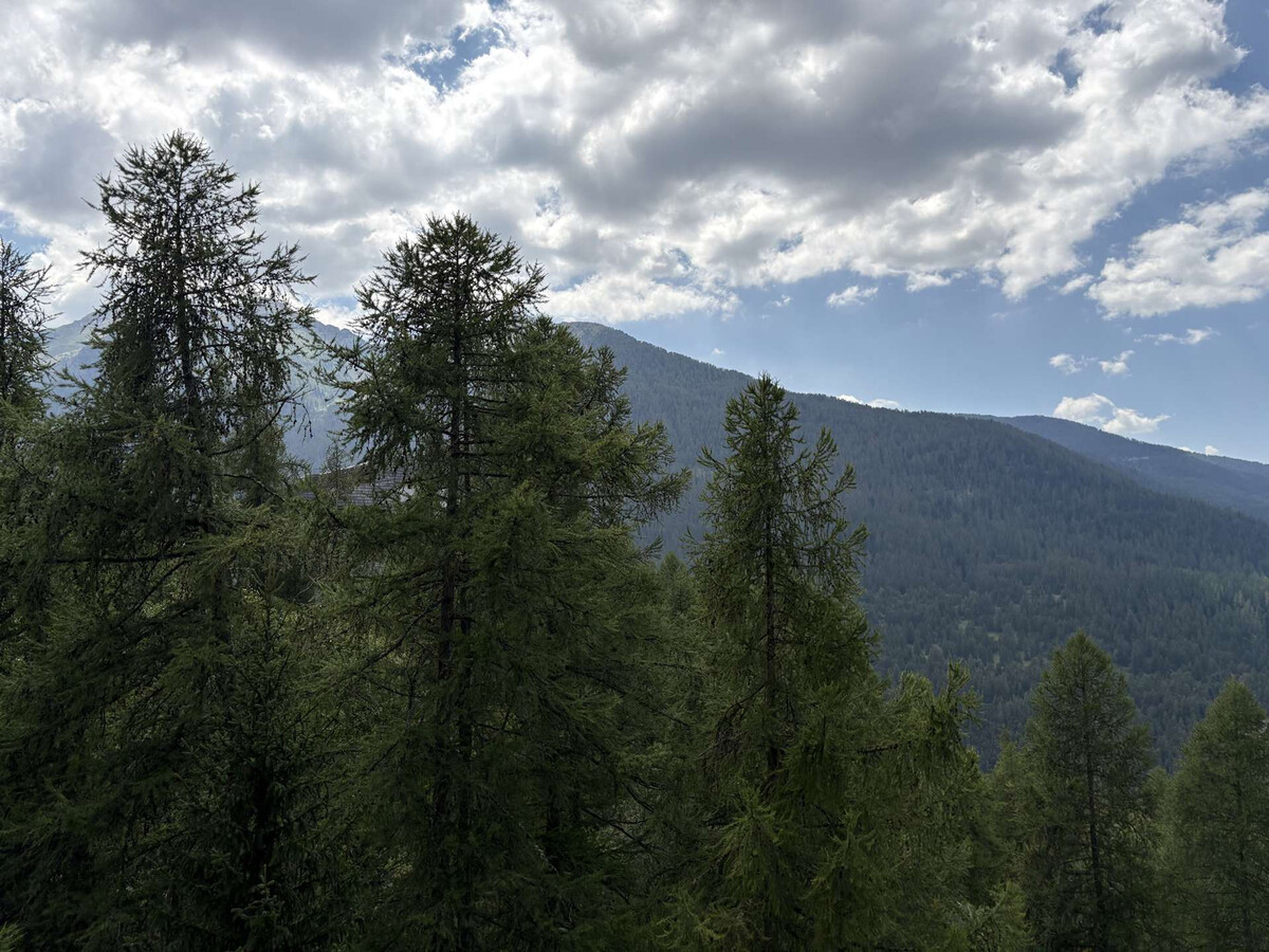 Studio 4 personnes aux Orres, balcon vue vallée - Photo 9