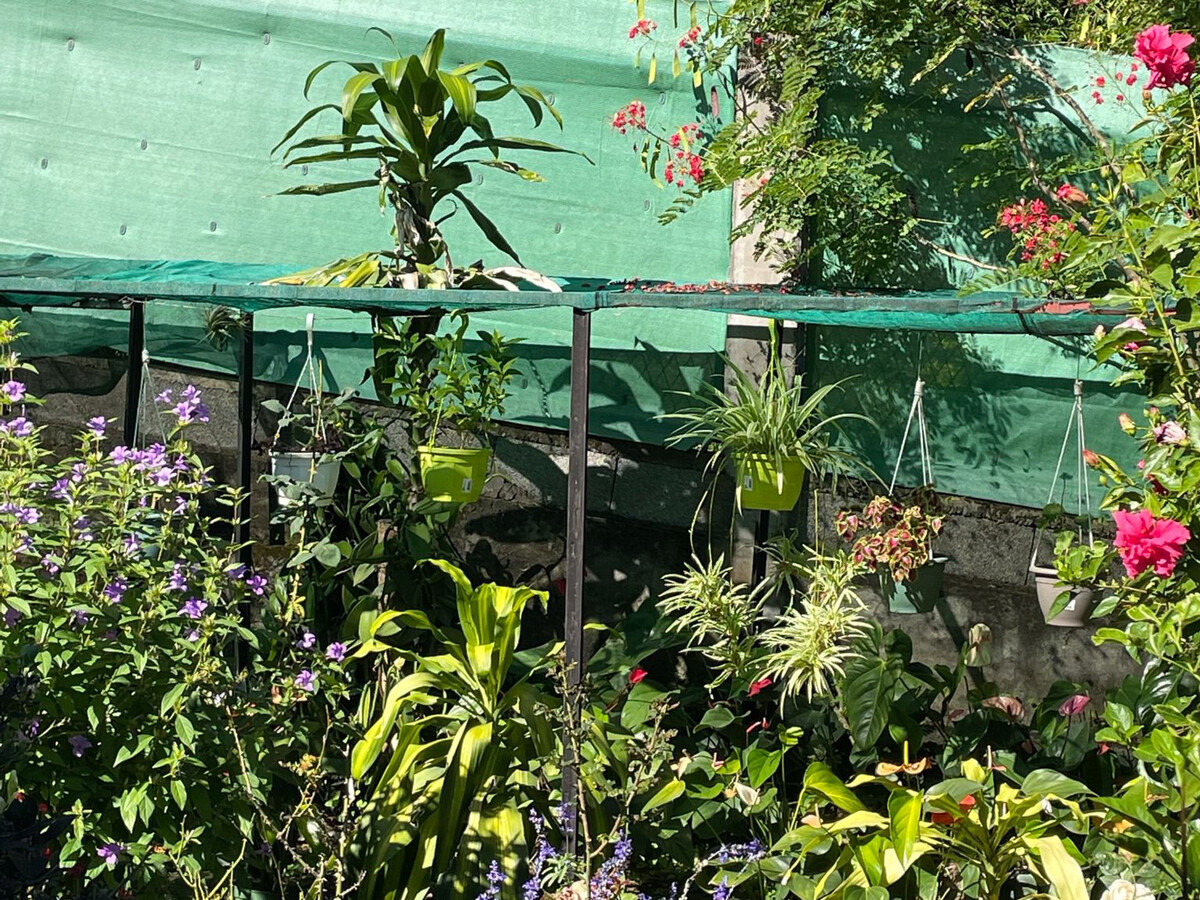 Gîte Bec Rose, vue côte ouest et terrasse fermée - Photo 29