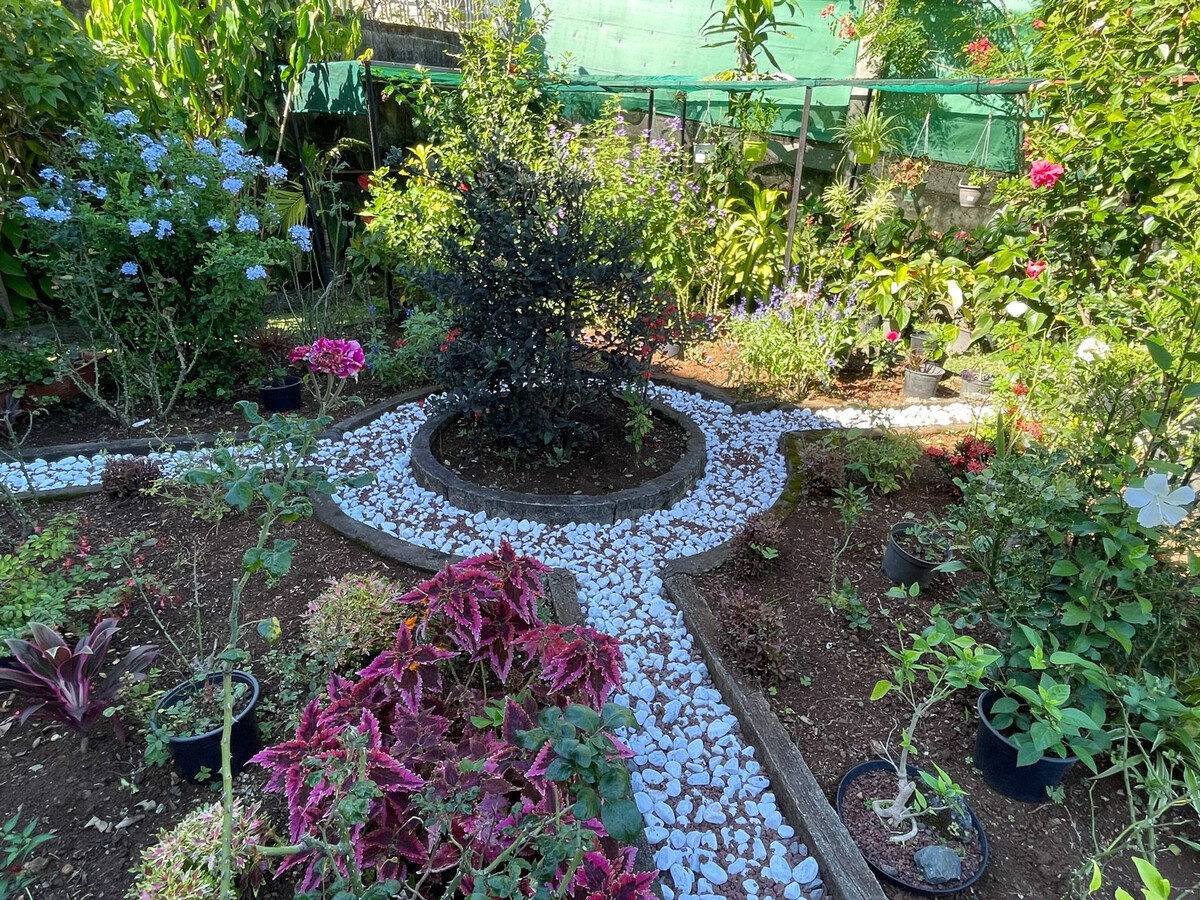 Gîte Bec Rose, vue côte ouest et terrasse fermée - Photo 30