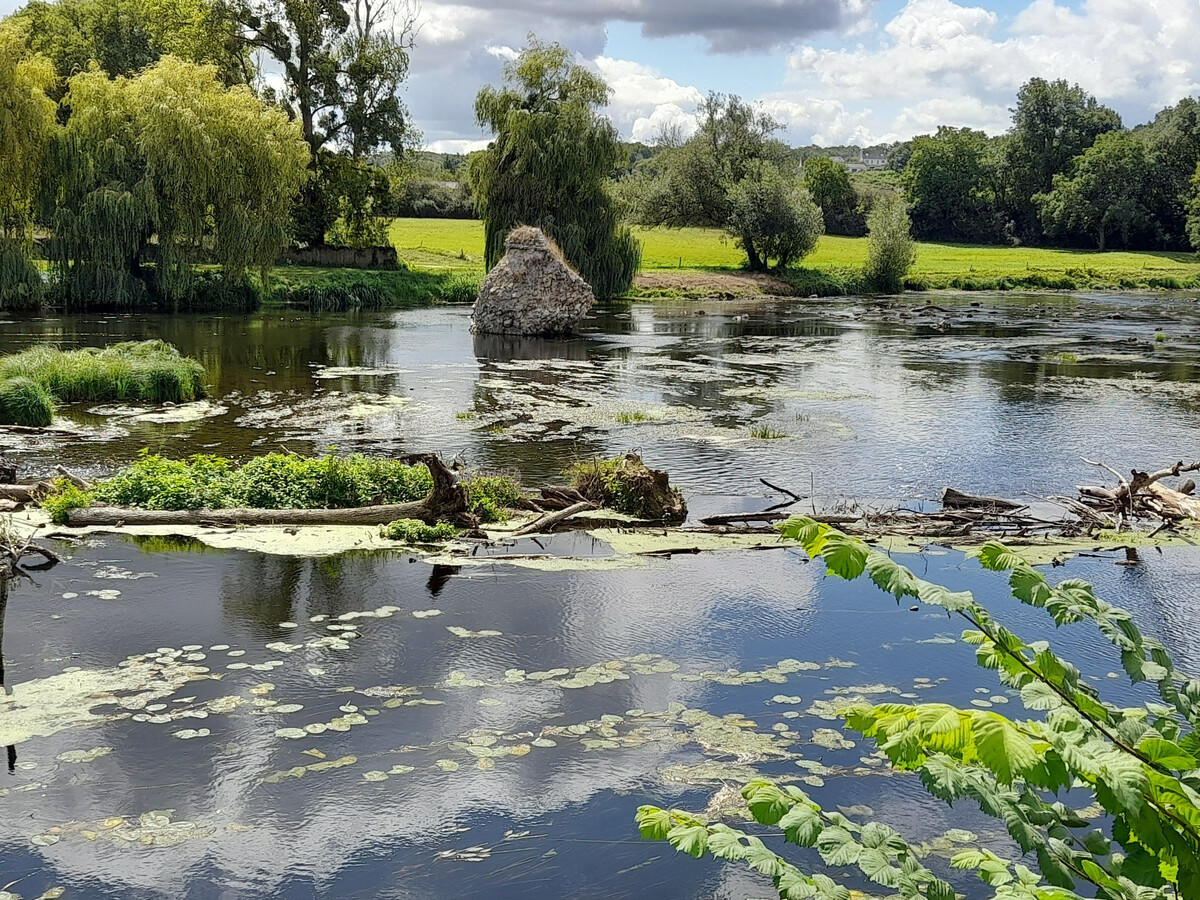 Gîte familial 8 pers. avec piscine privée à Saint-Gaultier - Photo 34