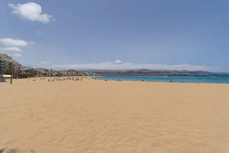 Temple Home By CanariasGetaway, Appartement près de Las Canteras - Photo 21
