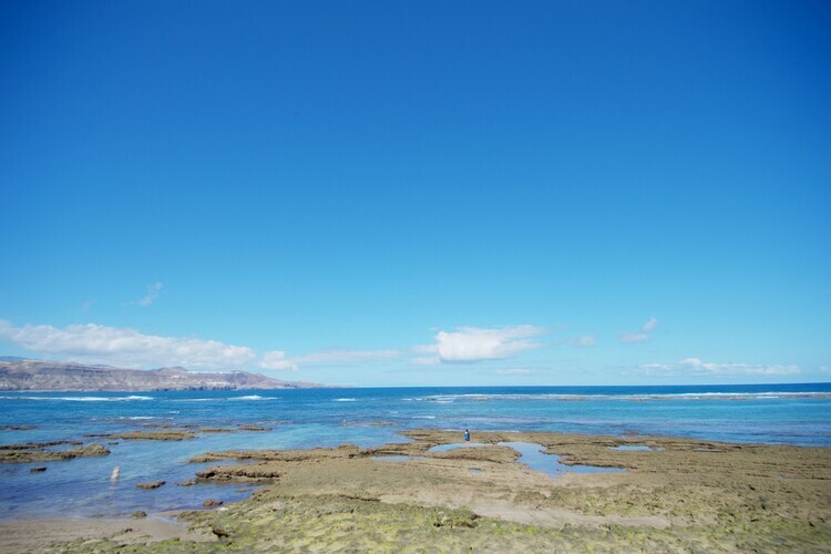 Maison 550m de Playa Las Canteras, Las Palmas - Photo 22
