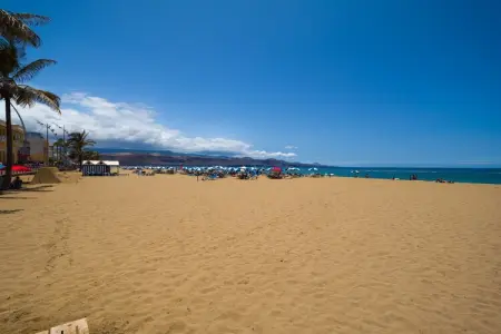 Yang By Canarias Getaway, Appartement Las Palmas près de Las Canteras - Photo 26