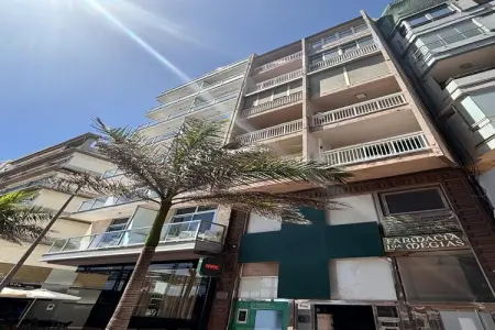Appartement T2 face à Playa Las Canteras, Las Palmas : photo 6