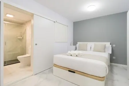 Maison 2 chambres à 300 m de Playa Las Canteras : photo 18
