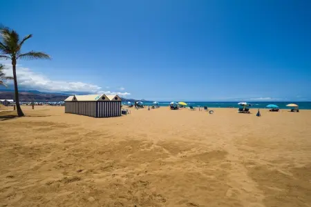 Maison 3 chambres à 100 m de Playa Las Canteras : photo 37