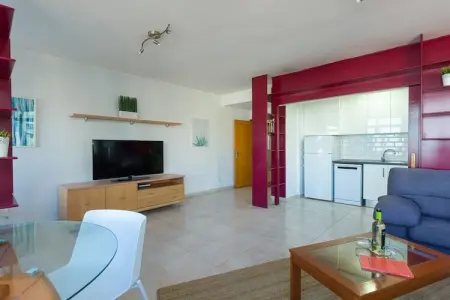 Mirando al Mar : maison 2 chambres à 10m de Las Canteras : photo 10
