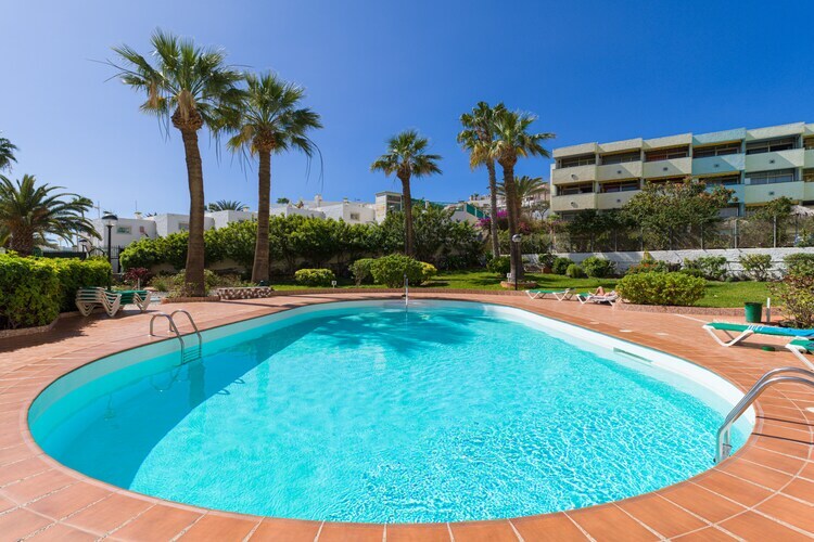 Studio vue mer à Maspalomas, 30 m de la plage - Photo 8